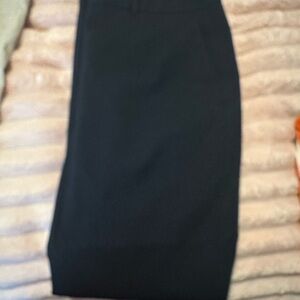 Ann Taylor Classic Navy Trousers Curvy 12